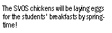 Text Box: The SVOS chickens will be laying eggs for the students' breakfasts by springtime!