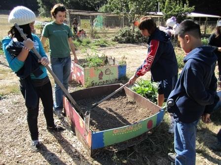 Gardening at ENOS Simpervirens